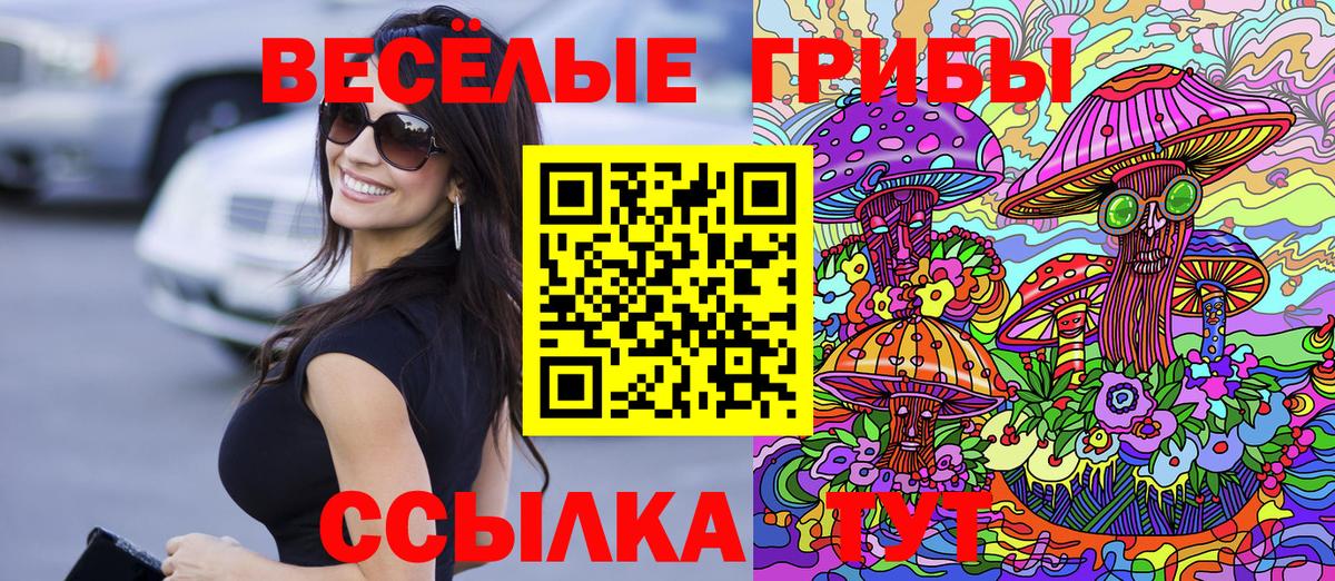 Галлюциногенные грибы Psilocybine cubensis Зеленодольск