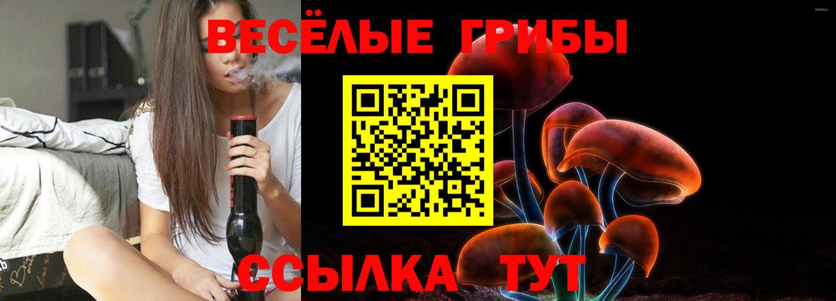 Галлюциногенные грибы GOLDEN TEACHER  Вход с VPN  где купить наркоту  Зеленодольск 